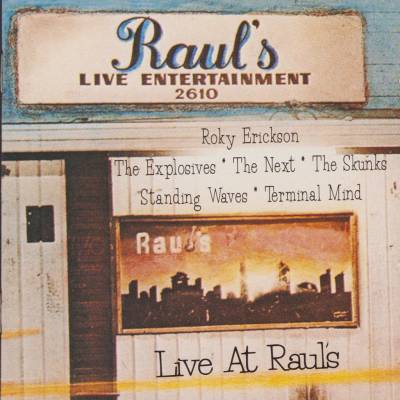 Various Artists - LIVE AT RAUL'S Vinyl