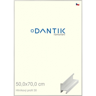DANTIK rám na obraz 50 x 70 Dýha bílá