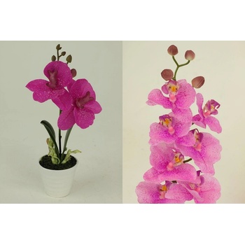 Orchidea v keramickém květináči - sv. růžová