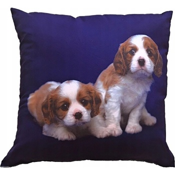 Dadka vankúš Dva béžovo-hnedé psy 40x40