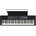 Casio LK-S450