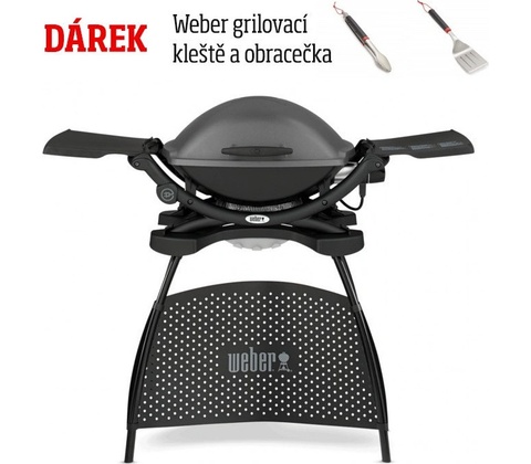 Weber Q 2400 Stand