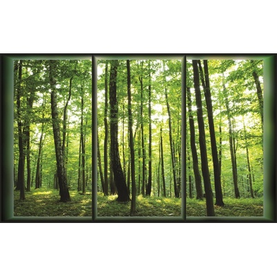 ForWall Fototapeta Les pohled z okna vlies 152,5 x 104 cm