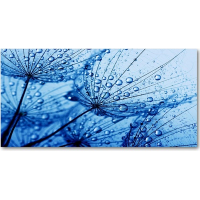 Foto obraz sklenený horizontálny semeno púpavy 100x50 cm