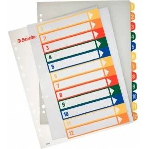 Esselte Printable covers Maxi A4 1-12 (100214)