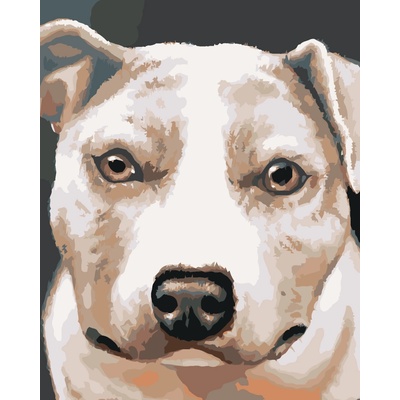 ZUTY Malování podle čísel PIT BULL MYROSLAVA VOLOSCHUK Rozměr 80 x 100 cm Rámování bez rámu a bez vypnutí plátna