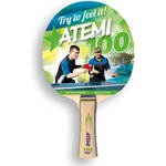 NTT Хилка Atemi 100