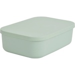 Homéa Светлозелена пластмасова кутия за съхранение с капак 24x18x8 cm - Homéa (6RAN838VC)