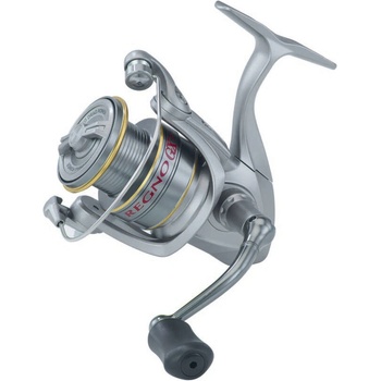 Ryobi Regno GX 3000