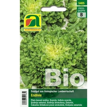AUSTROSAAT Bio endívia Bubikopf2/Perlita - 1 bal.