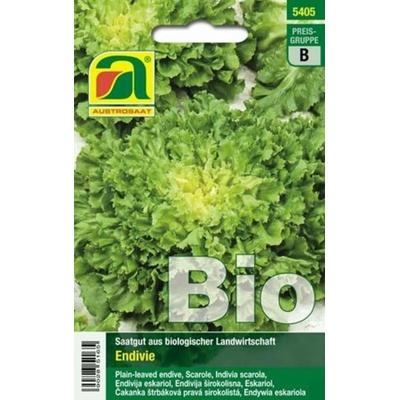 AUSTROSAAT Bio endívia Bubikopf2/Perlita - 1 bal.