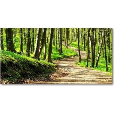 Foto obraz sklo tvrzené Chodník v lese 100x50 cm