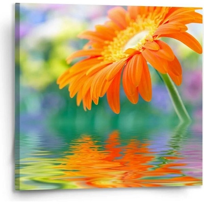 Sablio Obraz Oranžová gerbera - 110x110 cm
