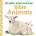 Baby Touch and Feel: Bible Animals | Dk