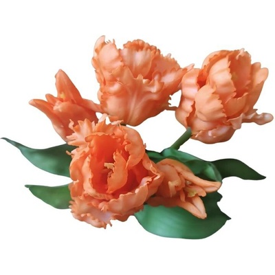Umělá kytice Tulipány 5 ks, střapaté, více barev Barva: Oranžová OD_REN2020/ORA
