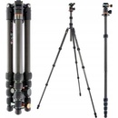 3 Legged Thing Punks Brian