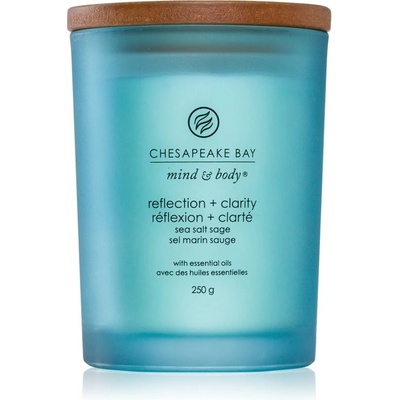 Chesapeake Bay Reflection + Clarity 250 g