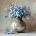 Styler Печатна върху платно картина 32x32 cm Forget-me-not - Styler (CA-17545)