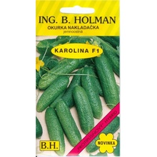 Okurka nakladačka - jemnoostná - Karolina F1 - Holman