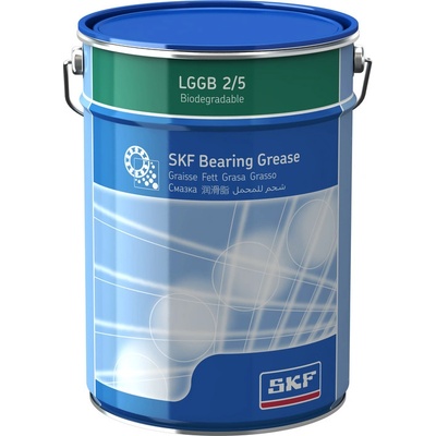 SKF LGGB 2 5 kg