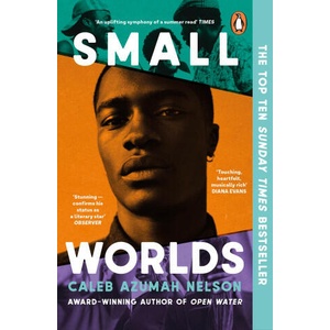 Small Worlds (ISBN: 9780241996041)