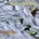 POSSING, ARTHUR -QUARTET NATURAL FLOW CD