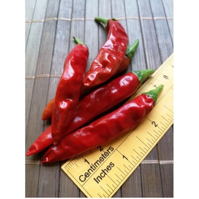 Cayenne Pepper Red 18-CA2-11-1 (chilli semena) 1 ks