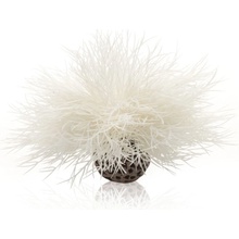 BiOrb Sea lilies bílá 11 cm