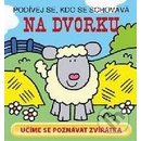 Na dvorku