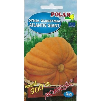 Tekvica obrovská Atlantic Giant semená 3 g
