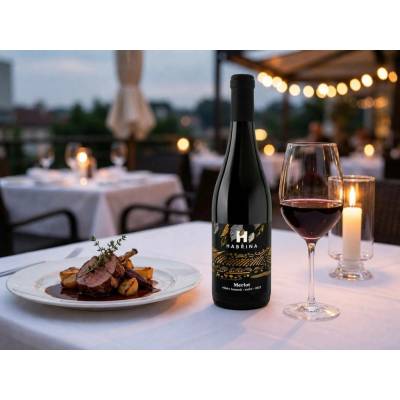 Vinařství Habřina Merlot suché červené 2022 14% 0.75 l (holá láhev)