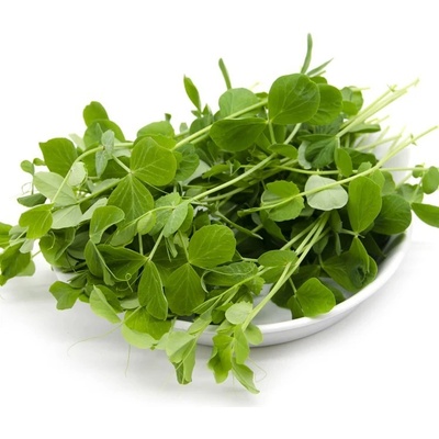 Tiny Greens Hrášek Lofty BIO semínka na klíčení a 100 g
