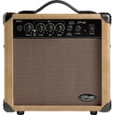 Stagg 10 AA