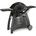 Weber Q 3200 Black Line 57010047