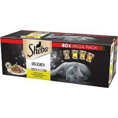Sheba Delicacy v kouscích želé s kachnou kuřecím masem drůbeží a krůtou 40 x 85 g