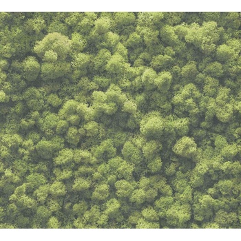 A. S. Création Влизелинов тапет за стена pintwalls 39405-1