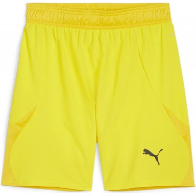 Puma teamFINAL Shorts – Sleviste.cz