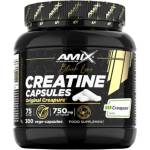 Amix Nutrition Creatine Creapure 750 mg [300 капсули]