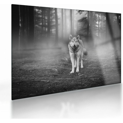 Skleněný obraz - Strážce lesa, černobílý, jednodílný 70x50 cm na skle