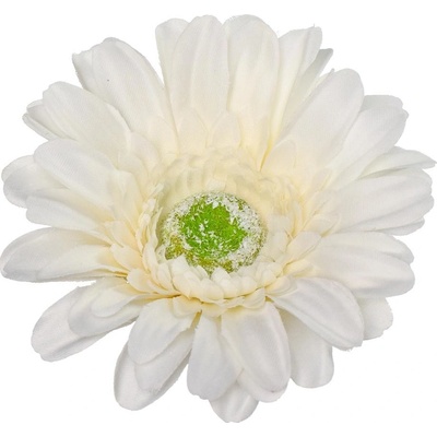 HLAVA GERBERA BIELA P:12CM BAL:24KS