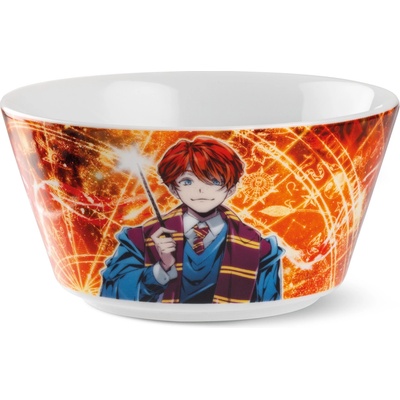 Egan WARNER BROS HARRY POTTER miska RON WEASLEY 480 ml
