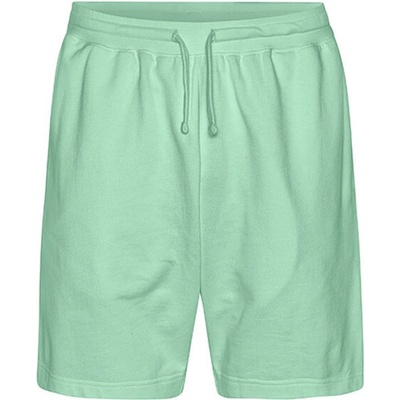 Tiger Cotton by Neutral pánske bavlnené šortky T64111 Dusty Mint