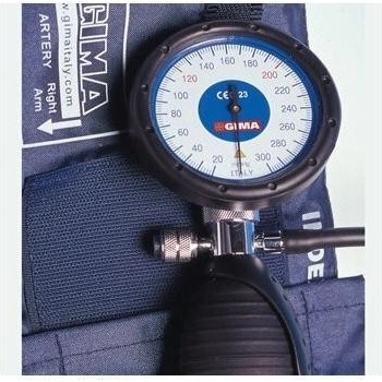 Gima Roma Aneroid Palm