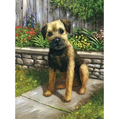 Royal & Langnickel malování podle čísel Kočičí zábava