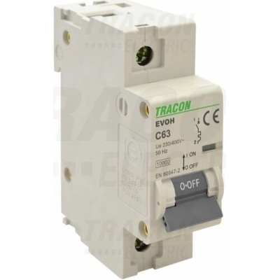 Tracon 1P C100A 10kA EVOH1100