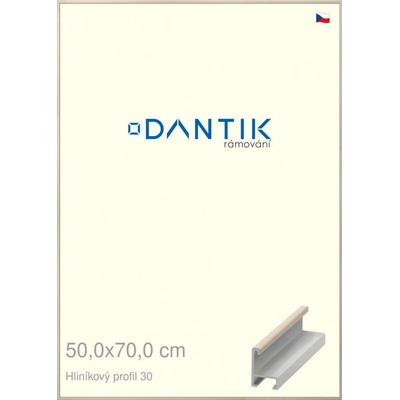 DANTIK rám na obraz 50 x 70 Dýha slovnová kost