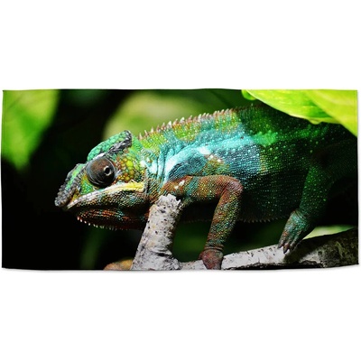 SABLIO Ručník - Chameleon 30x50 cm