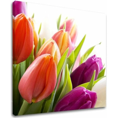 Obraz na stenu KVETY - 30x30