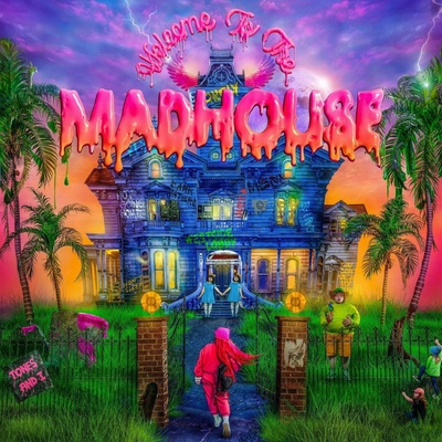 Tones and I - Welcome To The Madhouse CD