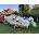 OLYMPIA 570 EVINRUDE E90